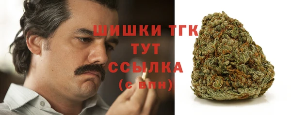 ГАЛЛЮЦИНОГЕННЫЕ ГРИБЫ Гусь-Хрустальный