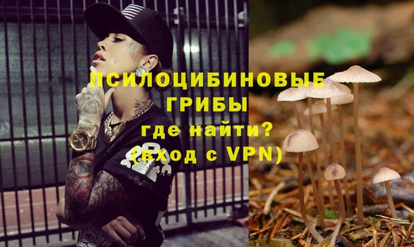 MDMA Premium VHQ Гусиноозёрск