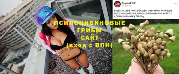 ALPHA-PVP Гусев