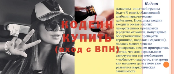 ГАЛЛЮЦИНОГЕННЫЕ ГРИБЫ Гусь-Хрустальный